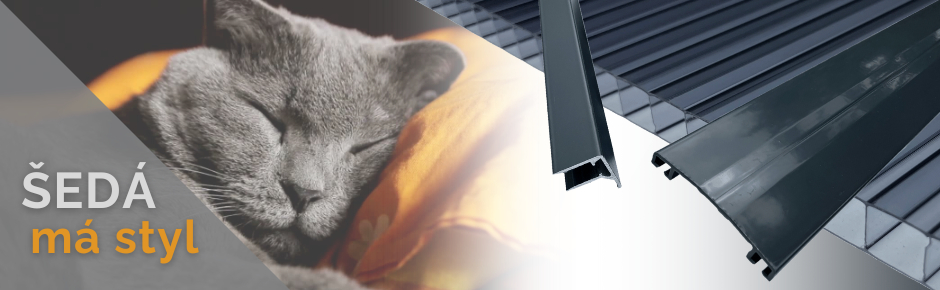 banner_seda2.png
